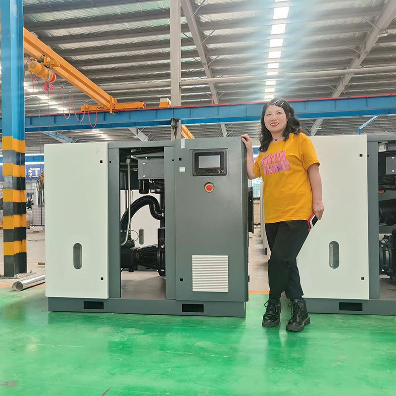 15kw/20HP Integrated Pm Frequency Conversion VSD Screw Air Compressor