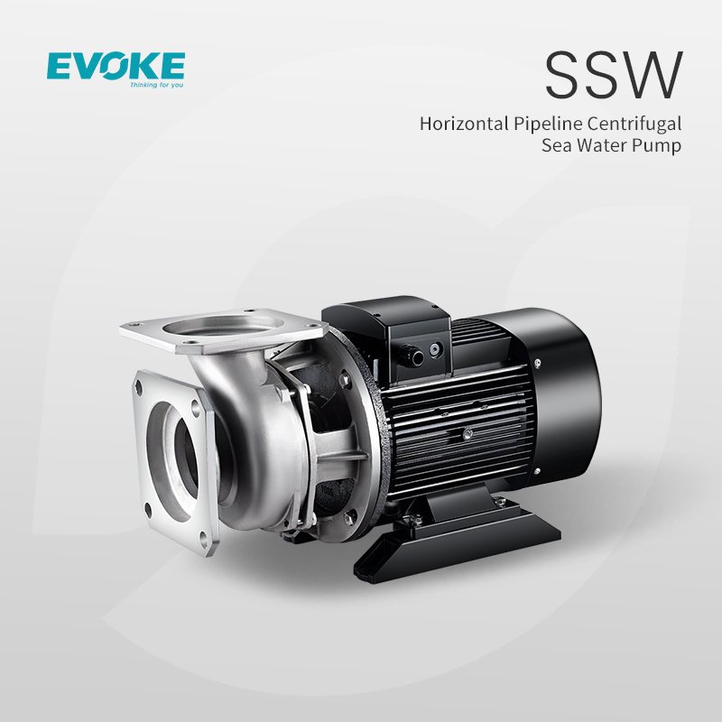 Evoke Ssw Horizontal Pipeline Centrifugal Sea Water Electric Water Stainless Steel Pump