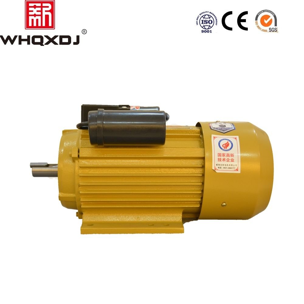 Single Phase Electric AC 220V Universal Motor Factory Price Made in China