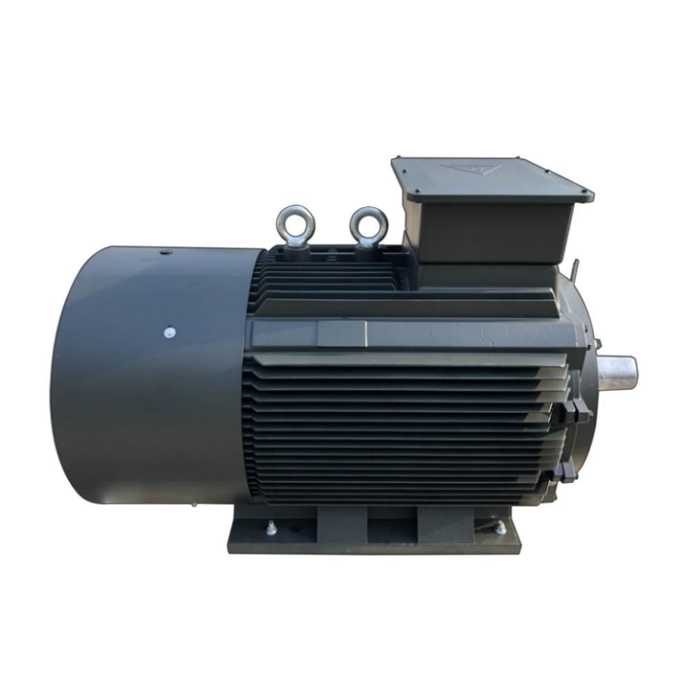20kw 24V Three Phase Asynchronous High Efficiency Electrical Motor Tefc Electric Motor